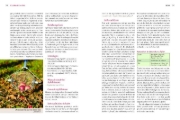 Buchcover und Innenansicht für das Buch: Handbuch Bio-Obst