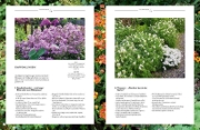 Buchcover und Innenansicht für das Buch: Verrückt nach Garten. Ideen und Erfahrungen kreativer Gärtner