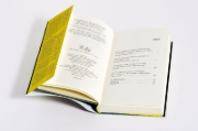 Buchcover und Innenansicht für das Buch: 'Ich bin ein Magnet für alle Verrückten'