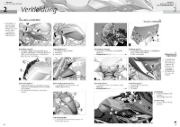 Buchcover und Innenansicht für das Buch: BMW R 1200 R, BMW R 1250 R, BMW R 1200 RS, BMW R 1250 RS Reparaturanleitung