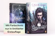 Buchcover und Innenansicht für das Buch: Quick Silver