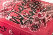 Buchcover und Innenansicht für das Buch: Wicked Shadow