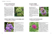 Buchcover und Innenansicht für das Buch: Der antiautoritäre Garten