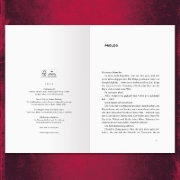 Buchcover und Innenansicht für das Buch: Timelock, Band 3 - Zeitmeister