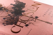 Buchcover und Innenansicht für das Buch: Chosen - Träume aus Gold