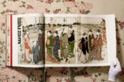 Buchcover und Innenansicht für das Buch: Hokusai