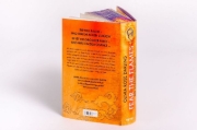 Buchcover und Innenansicht für das Buch: Fear the Flames