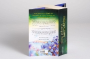 Buchcover und Innenansicht für das Buch: The Becoming (The Dragon Heart Legacy Book 2)