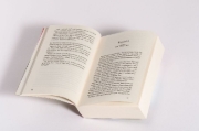 Buchcover und Innenansicht für das Buch: Süße Tage, bittere Stunden