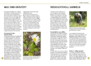 Buchcover und Innenansicht für das Buch: Wildkräuter am Blatt erkennen