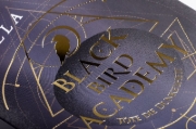 Buchcover und Innenansicht für das Buch: Black Bird Academy - Töte die Dunkelheit