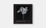 Buchcover und Innenansicht für das Buch: Mapplethorpe Flora