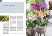 Buchcover und Innenansicht für das Buch: Orchideen pflegen