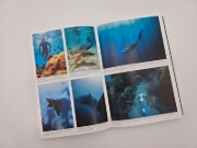 Buchcover und Innenansicht für das Buch: Segeljungs
