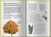 Buchcover und Innenansicht für das Buch: Wie lange braucht eine Schnecke zurück in meinen Garten?