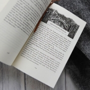 Buchcover und Innenansicht für das Buch: Herr der Diebe