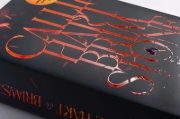 Buchcover und Innenansicht für das Buch: Brimstone