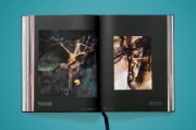 Buchcover und Innenansicht für das Buch: Masterpieces of Fantasy Art