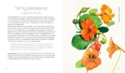 Buchcover und Innenansicht für das Buch: Vom Zauber der Blumen