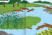Buchcover und Innenansicht für das Buch: Naturforscher-Kids - Stickerheft Heimische Tierwelt