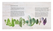 Buchcover und Innenansicht für das Buch: House plant