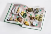 Buchcover und Innenansicht für das Buch: Ganzheitlich gesund mit High Protein