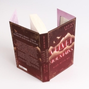 Buchcover und Innenansicht für das Buch: Rise With Me (Velvet Mountains 2)