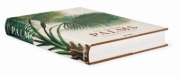 Buchcover und Innenansicht für das Buch: Martius. The Book of Palms