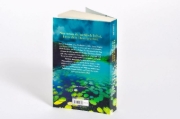 Buchcover und Innenansicht für das Buch: Counting Miracles