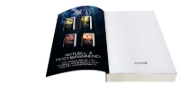 Buchcover und Innenansicht für das Buch: Todestal