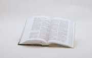 Buchcover und Innenansicht für das Buch: Neues Leben. Die Bibel für Teens