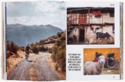 Buchcover und Innenansicht für das Buch: Tour de Rad