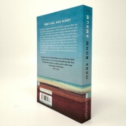 Buchcover und Innenansicht für das Buch: Amrum