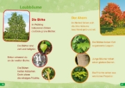 Buchcover und Innenansicht für das Buch: WAS IST WAS Erstes Lesen easy! Band 1. Entdecke die Bäume