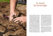 Buchcover und Innenansicht für das Buch: Handbuch Samengärtnerei