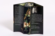 Buchcover und Innenansicht für das Buch: Shield of Sparrows