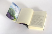 Buchcover und Innenansicht für das Buch: The Light Behind the Window
