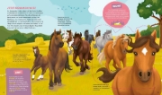 Buchcover und Innenansicht für das Buch: WAS IST WAS Kids Pferde und Ponys. Wild, stark und einfach toll!