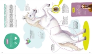 Buchcover und Innenansicht für das Buch: WAS IST WAS Kids Pferde und Ponys. Wild, stark und einfach toll!