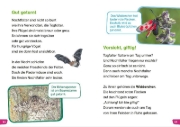 Buchcover und Innenansicht für das Buch: WAS IST WAS Erstes Lesen easy! Unsere Schmetterlinge