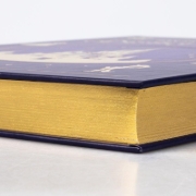 Buchcover und Innenansicht für das Buch: Disney: Das große goldene Disney-Buch
