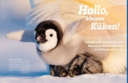 Buchcover und Innenansicht für das Buch: WAS IST WAS Pinguine. Immer cool drauf