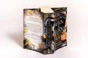 Buchcover und Innenansicht für das Buch: Born of Blood and Ash