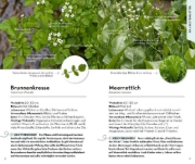 Buchcover und Innenansicht für das Buch: Basic Heilpflanzen