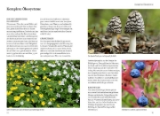 Buchcover und Innenansicht für das Buch: Unsere essbare Natur