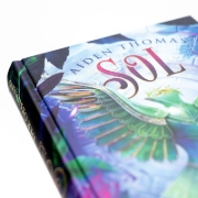 Buchcover und Innenansicht für das Buch: Celestial Monsters