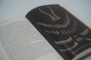 Buchcover und Innenansicht für das Buch: Das Rätsel der Schamanin