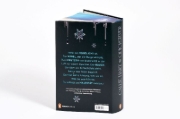 Buchcover und Innenansicht für das Buch: Quick Silver