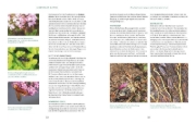 Buchcover und Innenansicht für das Buch: Die Welt in meinem Garten