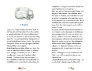 Buchcover und Innenansicht für das Buch: Die Nordseedetektive (Band 12) - Brandgefährlich!